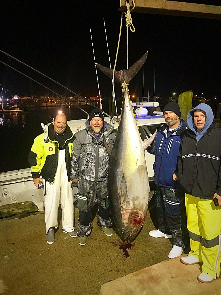 Bluefin Tuna Fishing Charter: Experience King of Seas in Favignana's  Crystal Clear Waters: Book Tours & Activities at